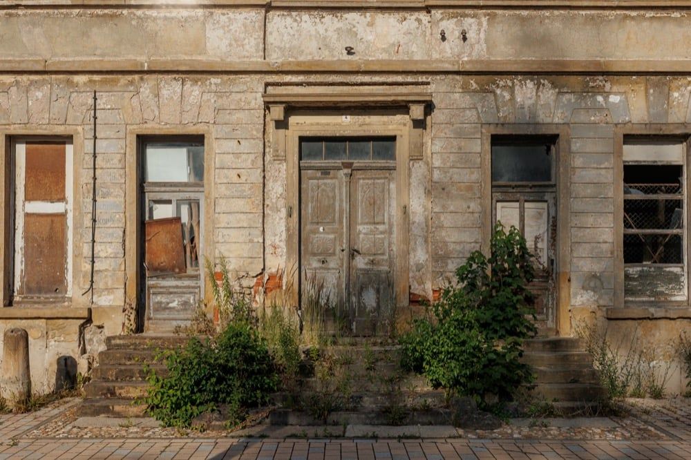 Abbildung: Green Door Policy: All Weeds Welcome